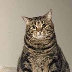 Meet your Posher, Deanne